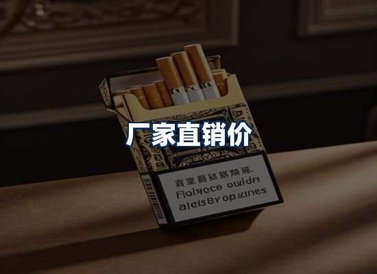 专业团队办公环境